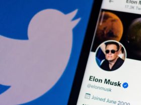 Twitter - Elon Musk